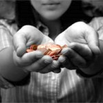 vop_dontatemockimage1